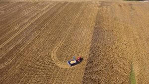 Jim Case pulls his Kinze grain cart across the field to get into position for corn harvest.