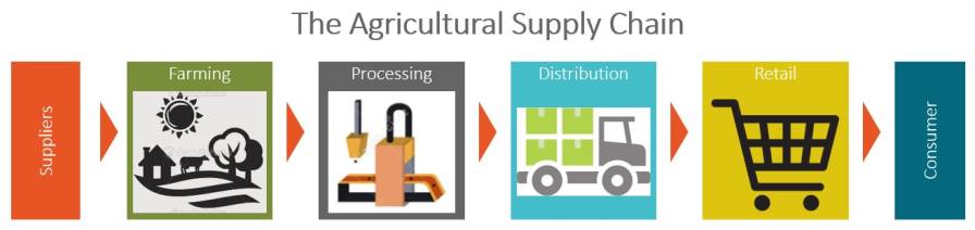 Agricultural Supply Chain Graphic