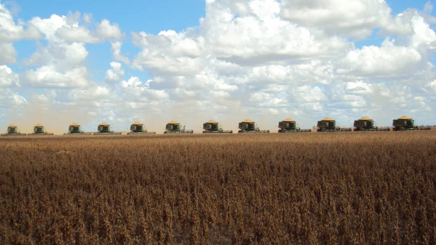 Brazilian Agriculture