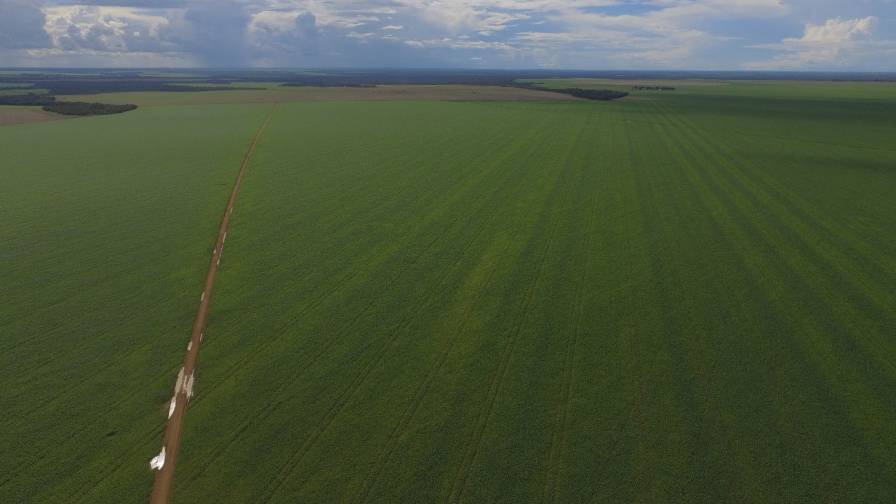 Figure 3 Brazil crop aerial view