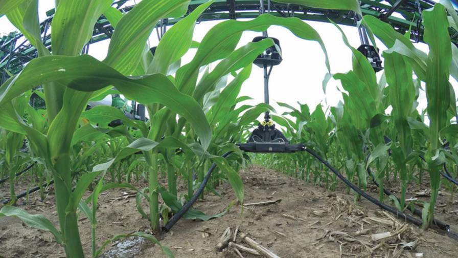 Y-Drop 360 Yield