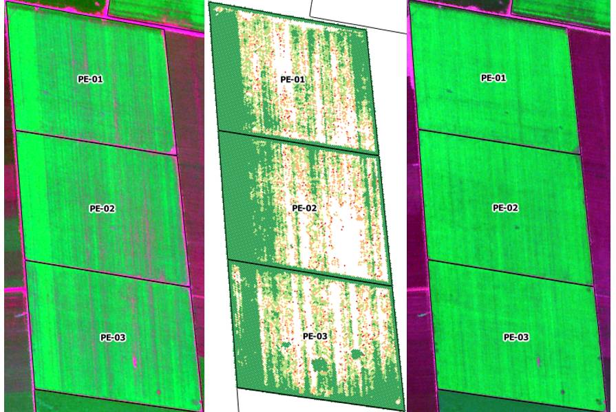 Satellite imagery cotton field-in-Brazil