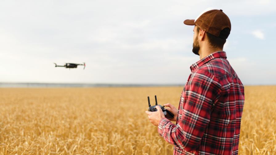 drone-wheat-field