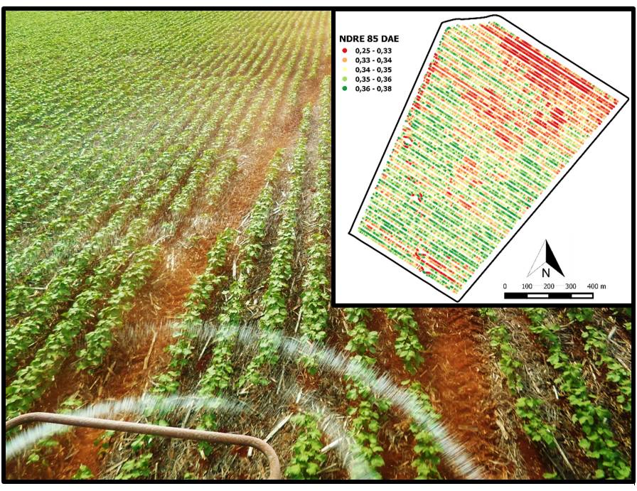 Real-time-VRA-cotton