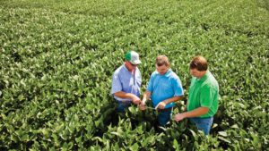 Ag Retailer and Grower WinField United