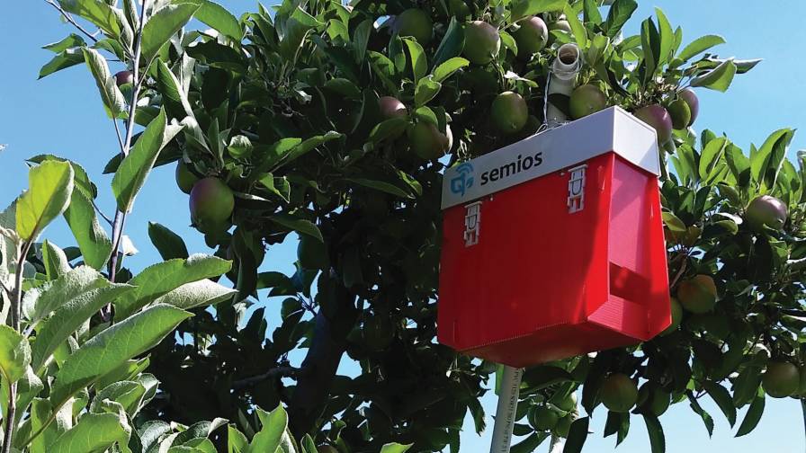 Semios pest trap